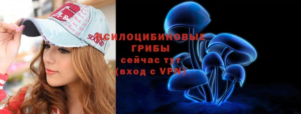 дживик Абаза